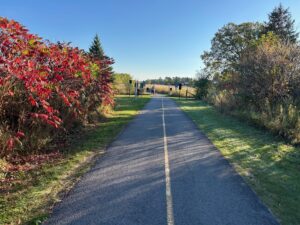 Read more about the article Week Without Driving Saturday edition